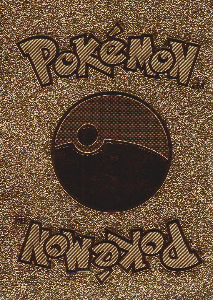 CUSTOM PLASTIC CARD: Charizard GX sm211